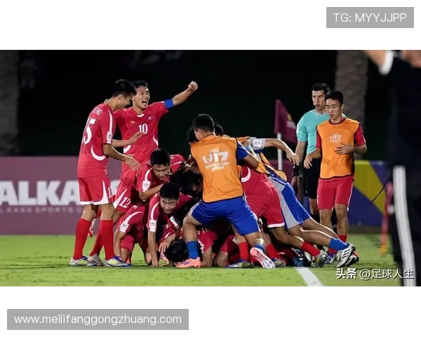 抚宁地区足球明星盘点及其在足球界的成就与影响